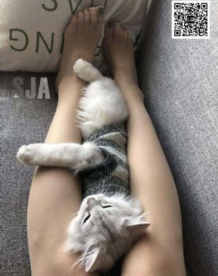山岸逢花在线观看无删减_高清蓝光在线观